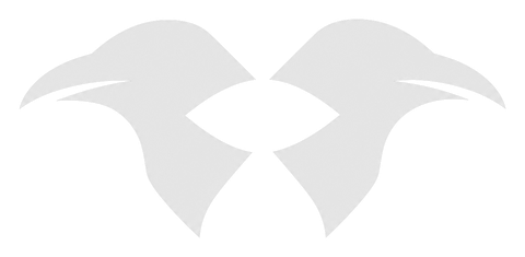 Security Monitor logo